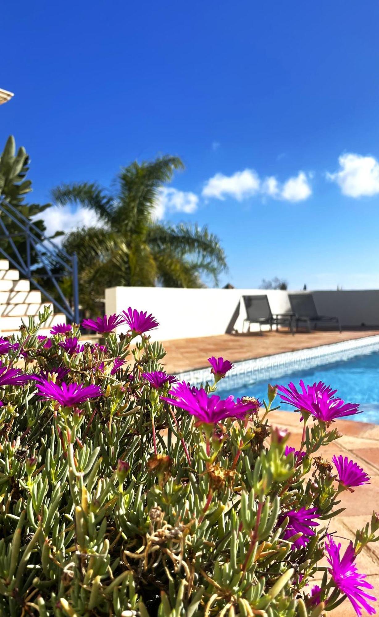 Boutique Hotel Maravilla - Marbella Benahavis Bagian luar foto