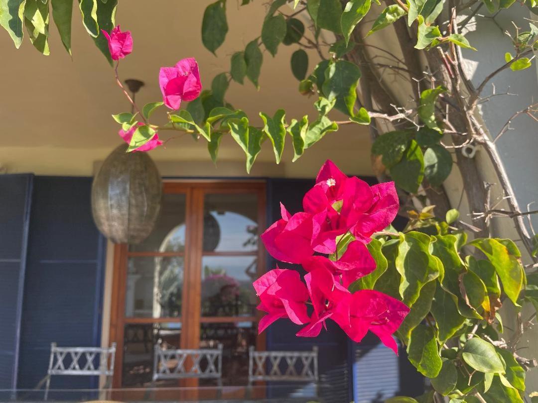 Boutique Hotel Maravilla - Marbella Benahavis Bagian luar foto
